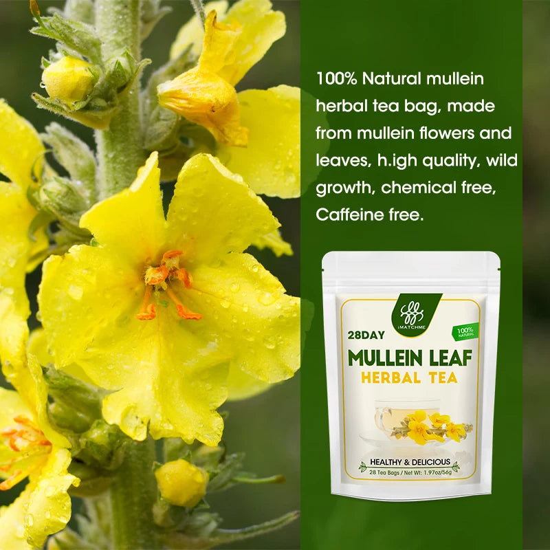 Caffeine Free Mullein Leaf Tea Bags | Lung and Respiratory Support