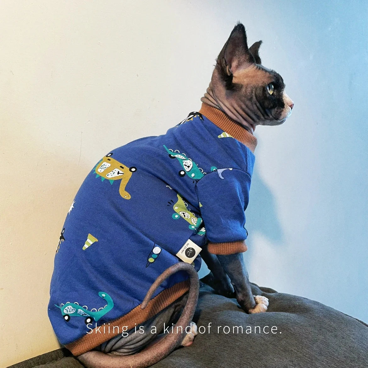 Cute Cartoon Dinosaur T-Shirt for Hairless Cats | Soft Cotton PJs
