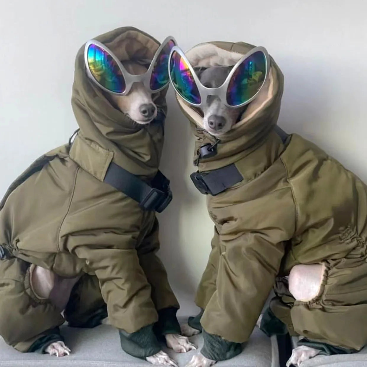 Warm Dog Jacket for Big Dogs | Winter Dog Clothes for Cold Weather