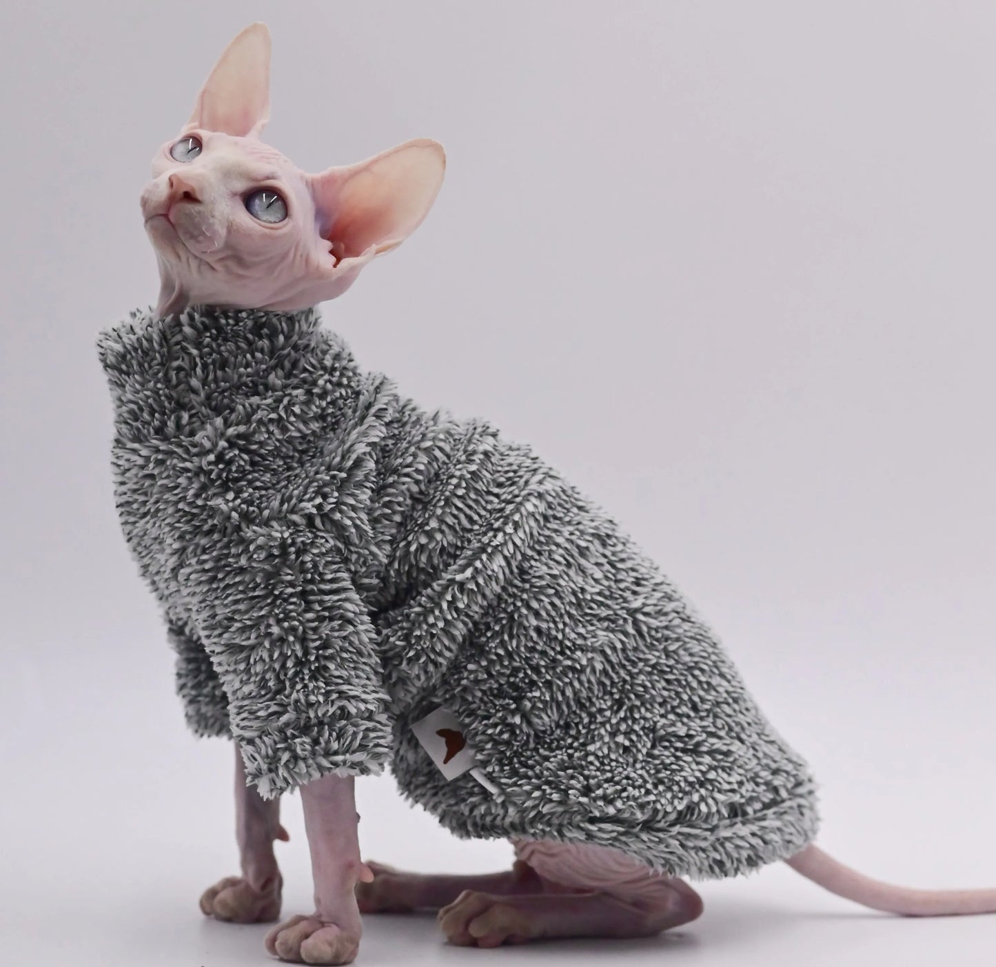 Ropa de camuflaje cálida de invierno para gatos sin pelo | Sudaderas con capucha cómodas