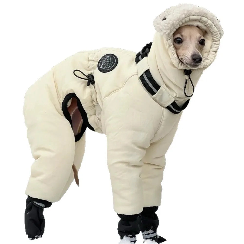 Large Breed Dog Winter Coat | Stylish & Warm Cotton Jacket