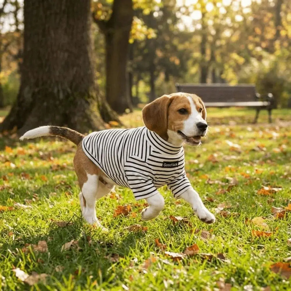 Thermal Dog Sweater | Soft and Warm Striped Pet Clothing