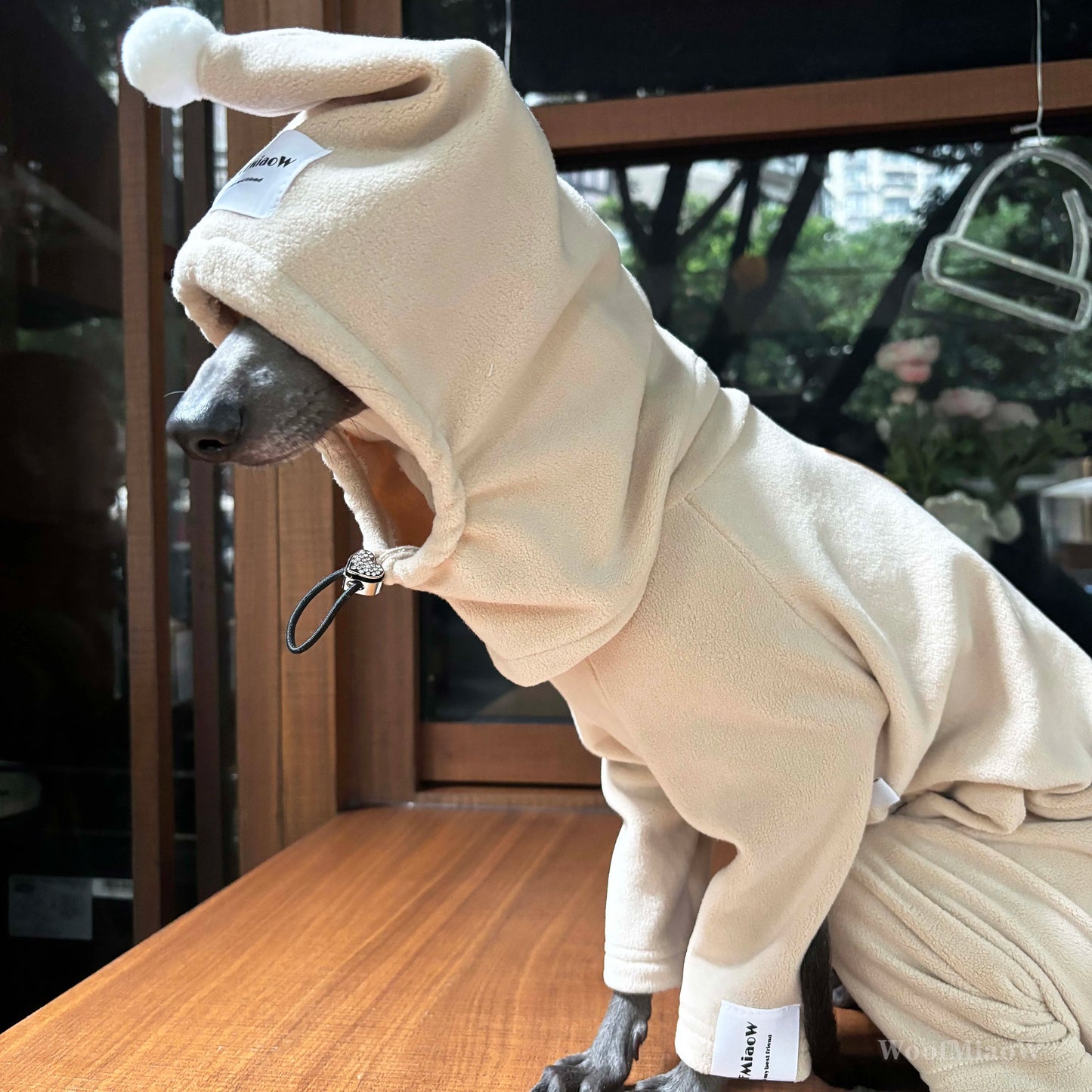 Ropa de invierno para perros | Atuendos suaves y elegantes para razas pequeñas