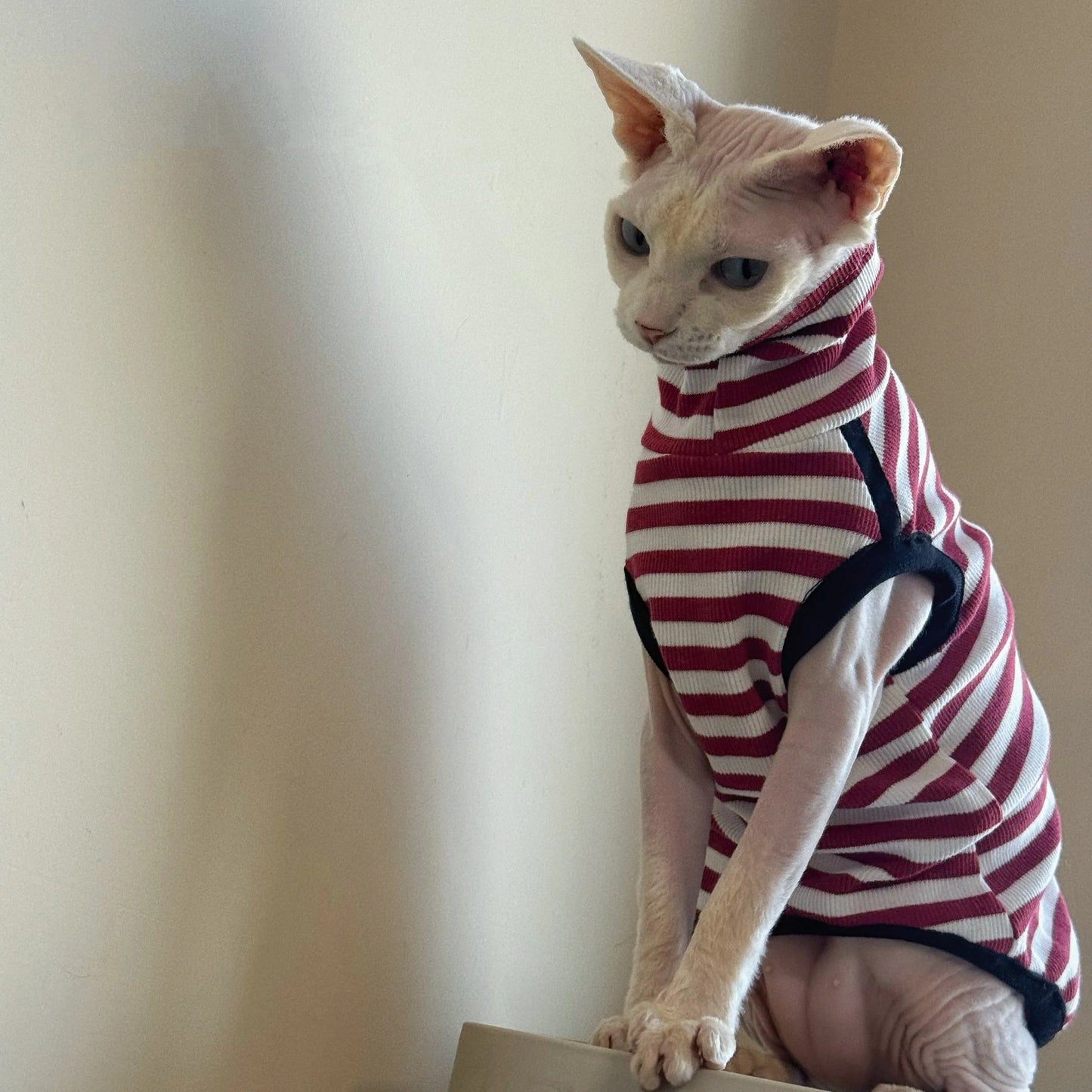 Cute Sleeveless Striped T-Shirt for Sphinx Cats | Autumn Fashion
