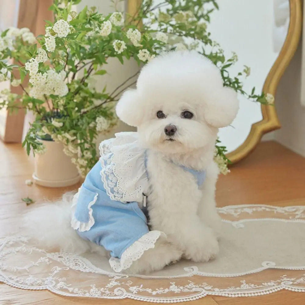 Breathable Soft Pet Lace Jumpsuit | Fashionable Dog Pajamas