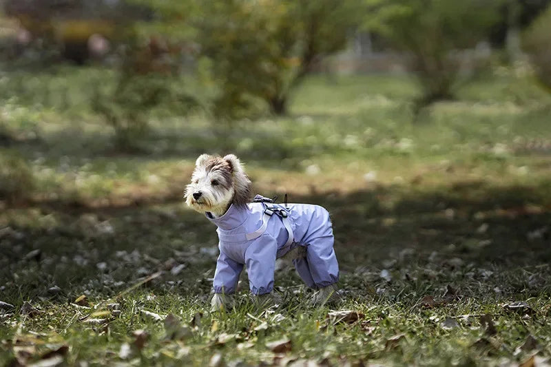 Adjustable Reflective Dog Raincoat with Harness for Small Dogs