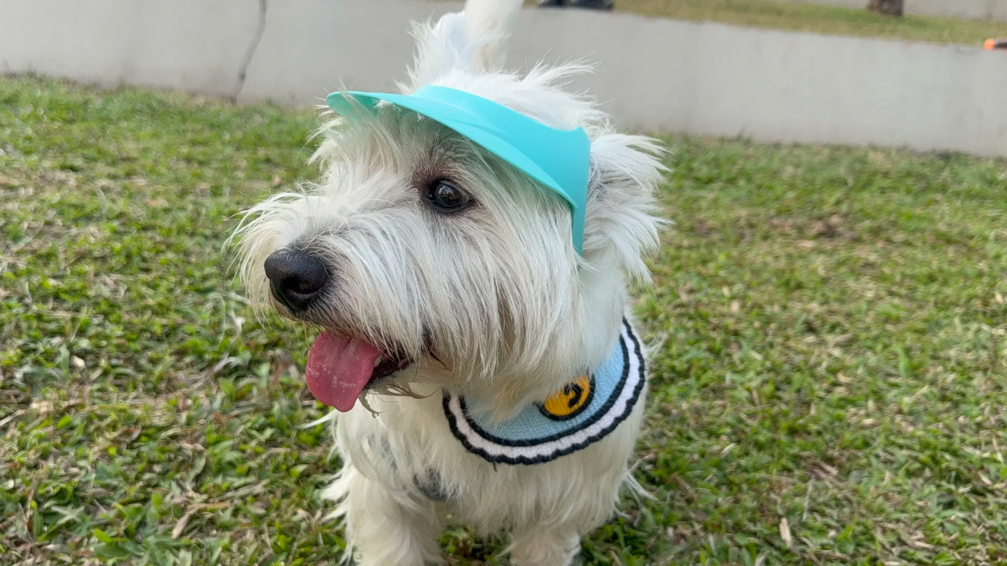Stylish Dog Motorcycle Sun Hat | Adjustable Doggy Visor