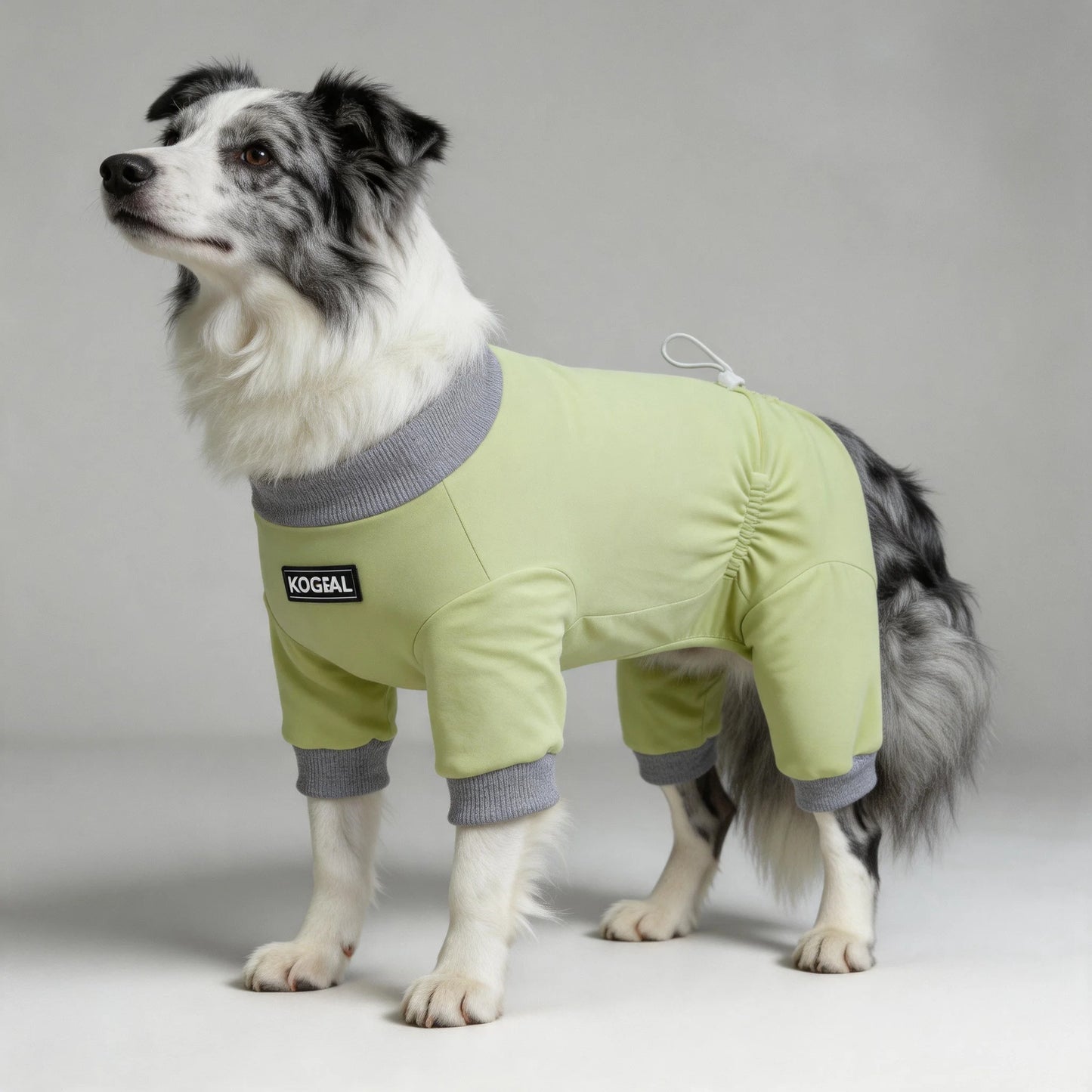 Lightweight Summer Dog Pyjamas | Comfortable Dog Onesie for All Sizes