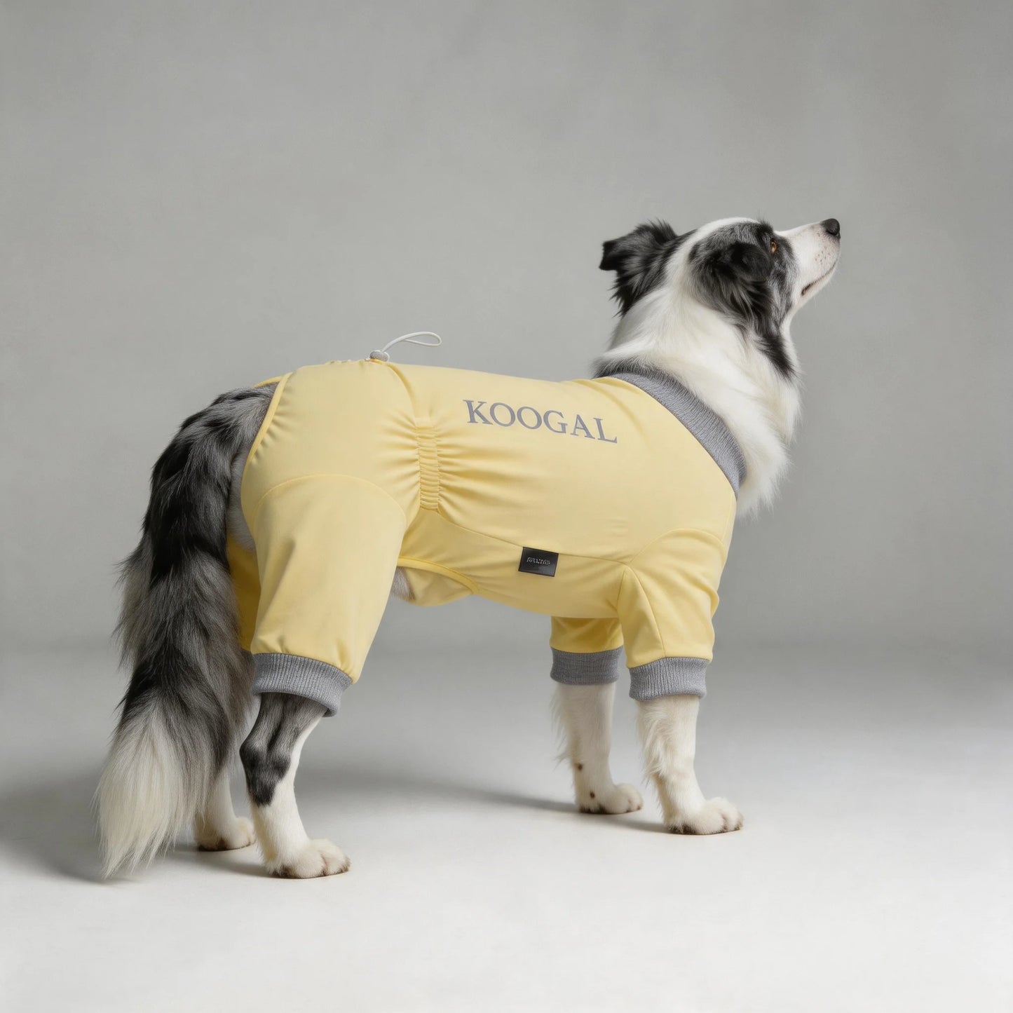 Lightweight Summer Dog Pyjamas | Comfortable Dog Onesie for All Sizes