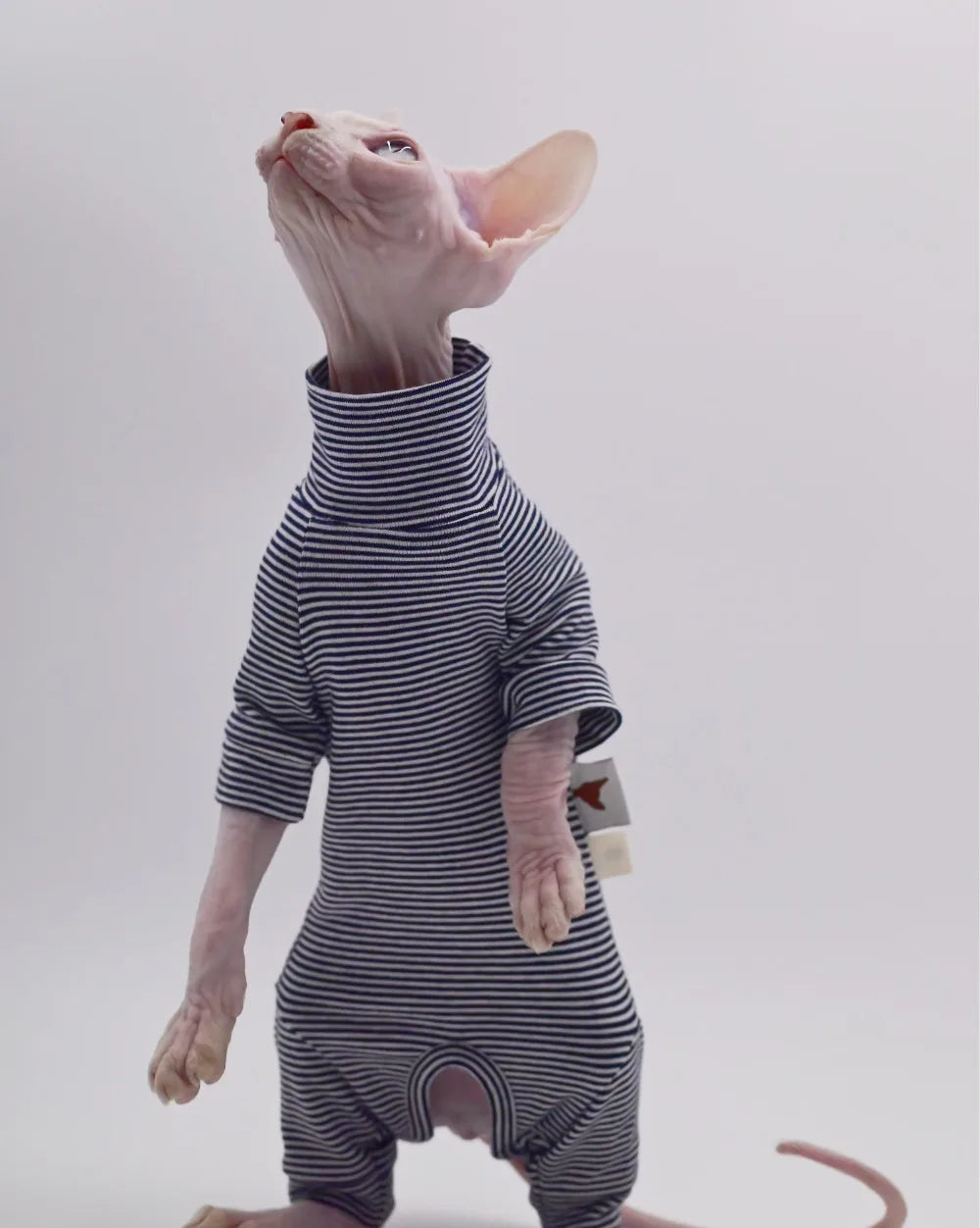 Comfortable Cotton Clothes for Sphynx and Hairless Cats
