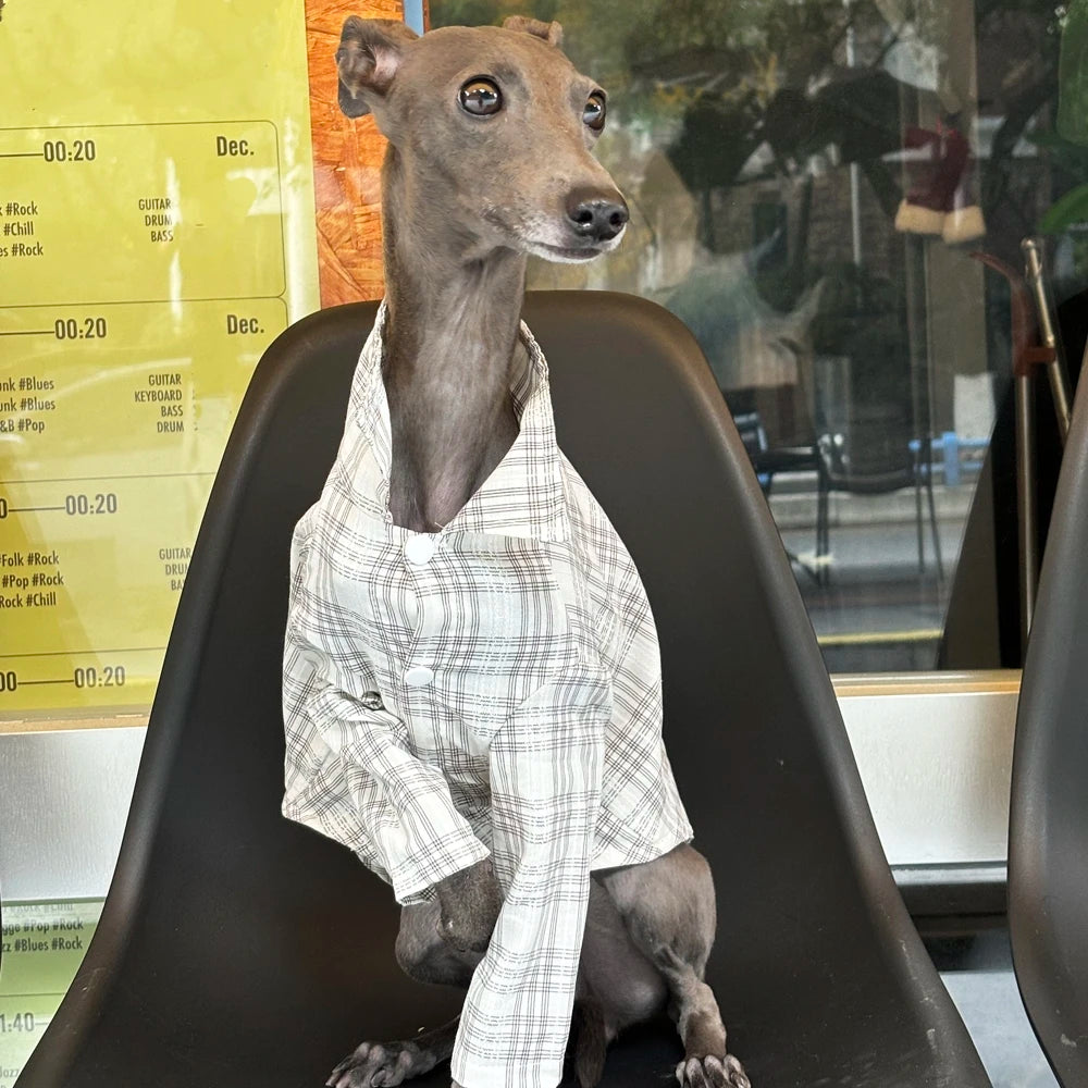 Camisa a Cuadros para Perros | Ropa para Mascotas Elegante y Cómoda