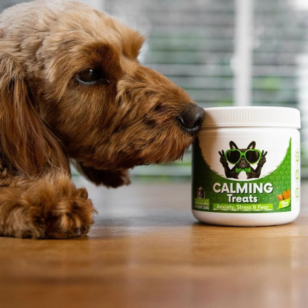 Calming Soft Chews for Dogs | Stress Relief & Anxiety Support