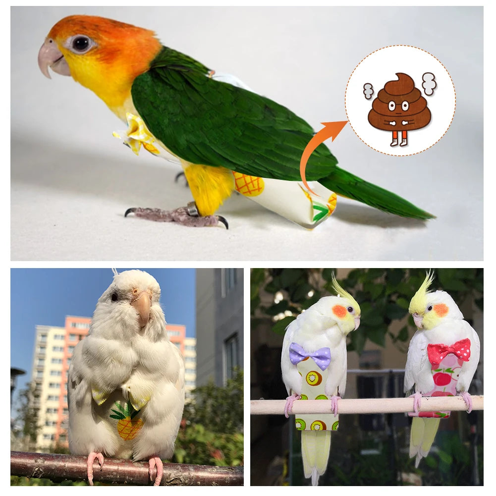 Cute Colorful Fruit Floral Bird Diaper | Washable Pet Flight Suit