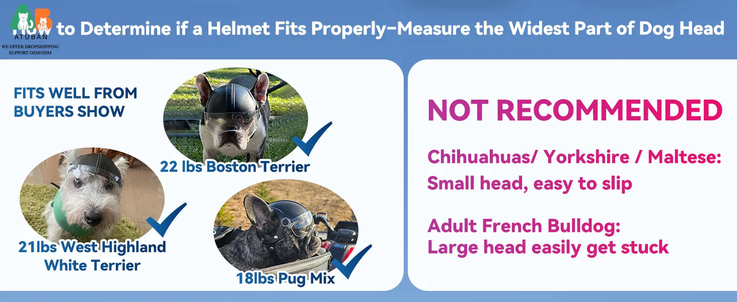 Dog Motorcycle Helmet for Small Breeds | Stylish & Protective