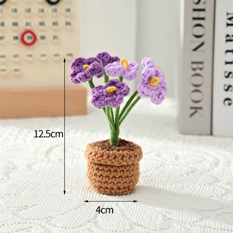 Beautiful Hand-Woven Crochet Flower Pots for Home Décor