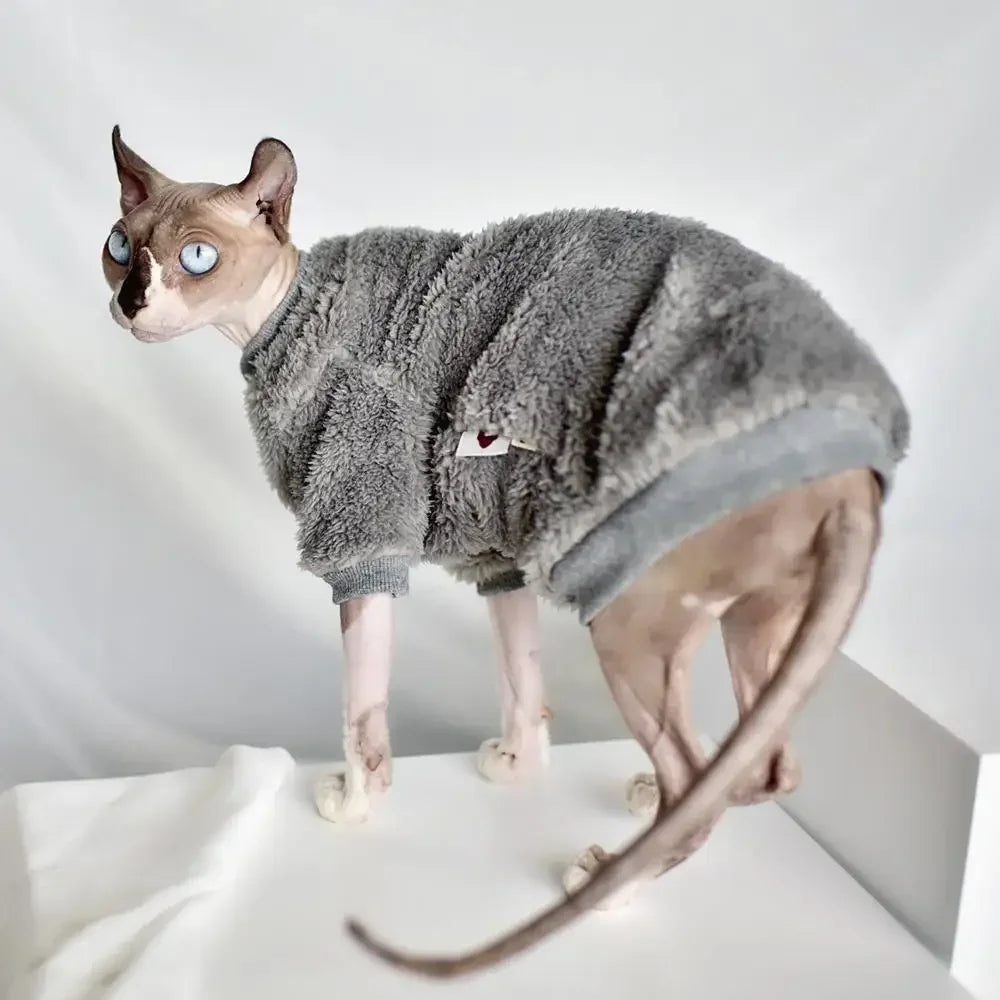 Winter Sweater for Hairless Cats | Cozy Fashionable Cat Clothing