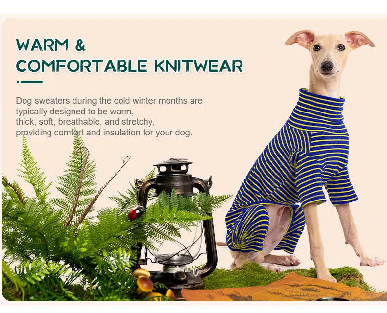 Four Legged Spring Pet Dog Jumpsuit | Comfortable Dog Apparel