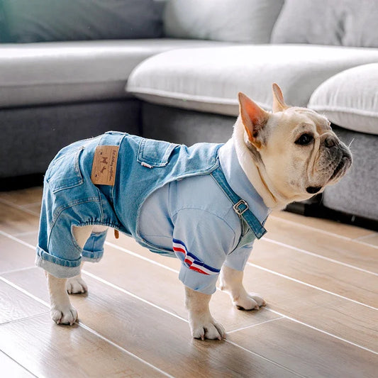 Elegante abrigo vaquero para perros de razas pequeñas y medianas | Ropa de abrigo para mascotas