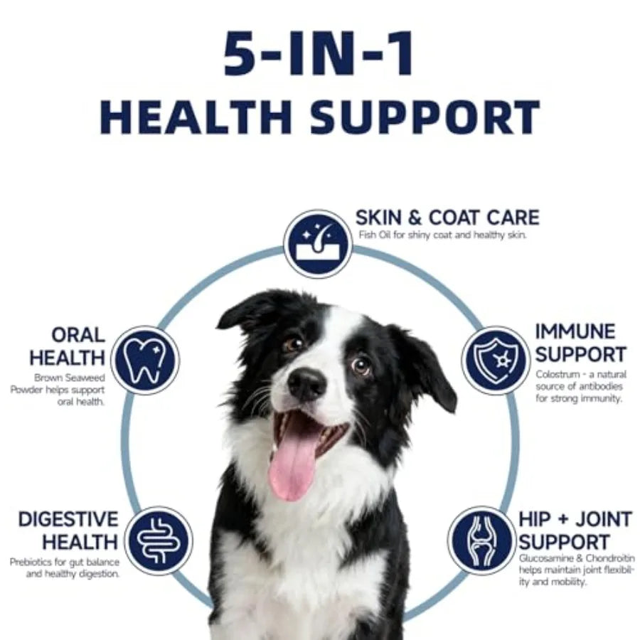 Freeze Dried Beef Patties | High Protein Treats for Dogs and Cats