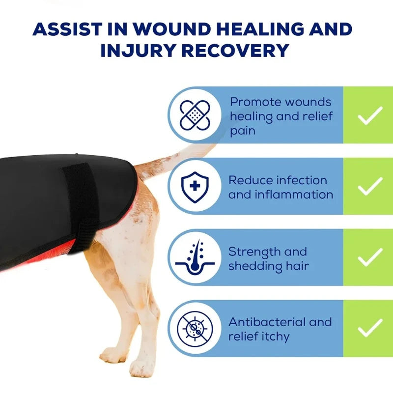 Handheld Laser Light Therapy Device for Pain Relief in Pets & Humans