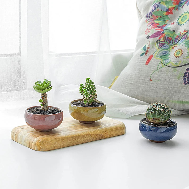 Cute Ice-Crack Glaze Flower Ceramic Succulent Planter