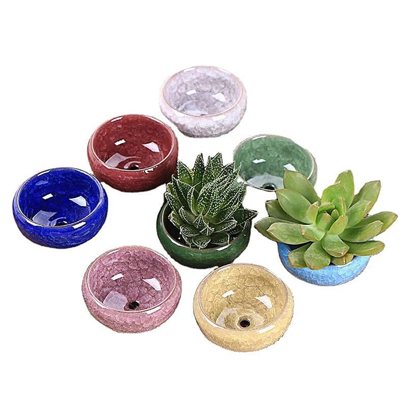 Cute Ice-Crack Glaze Flower Ceramic Succulent Planter