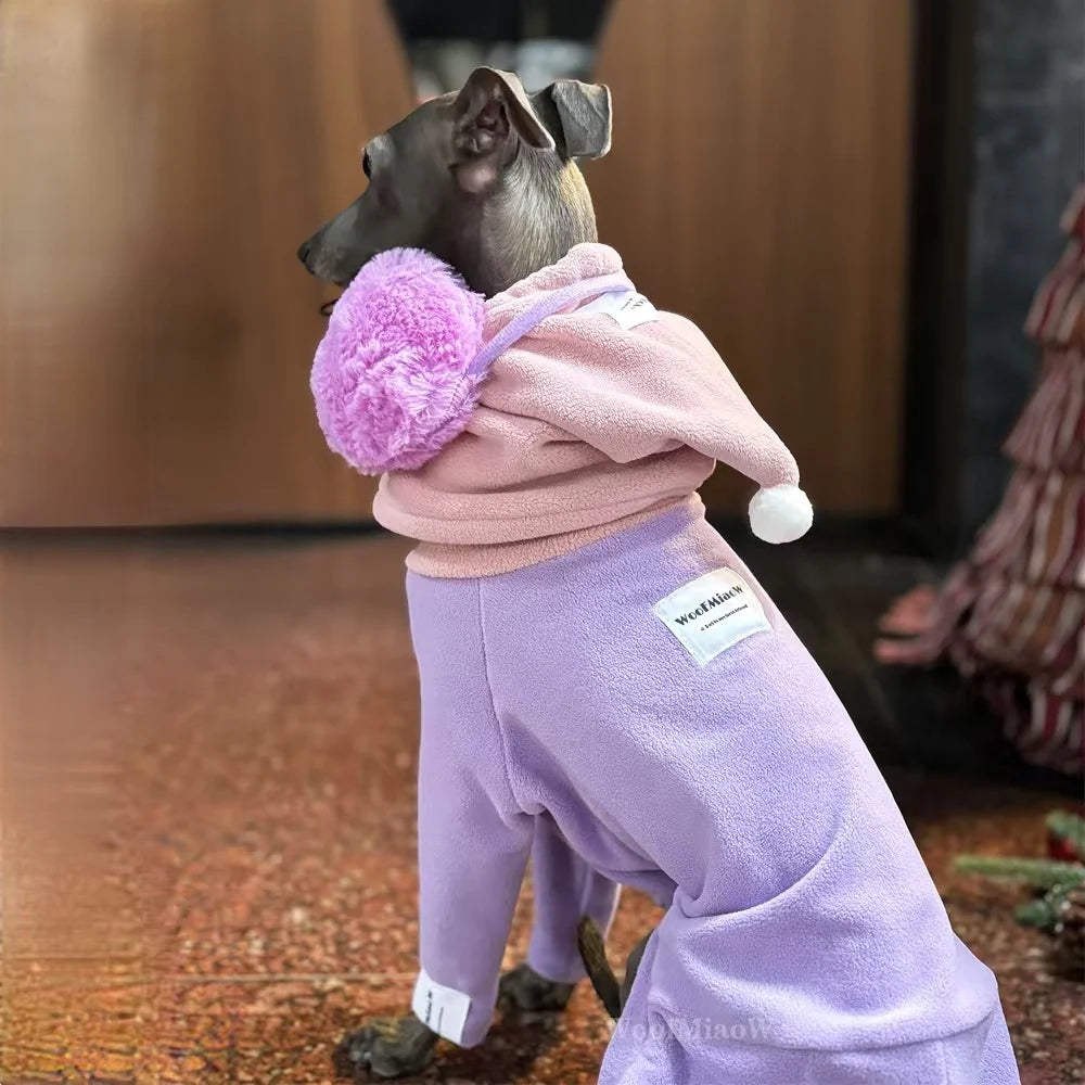 Ropa de invierno para perros | Atuendos suaves y elegantes para razas pequeñas