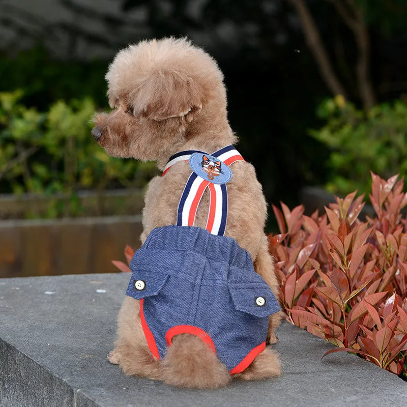 Denim Dog Shorts for Small & Medium Dogs | Stylish Pet Underwear