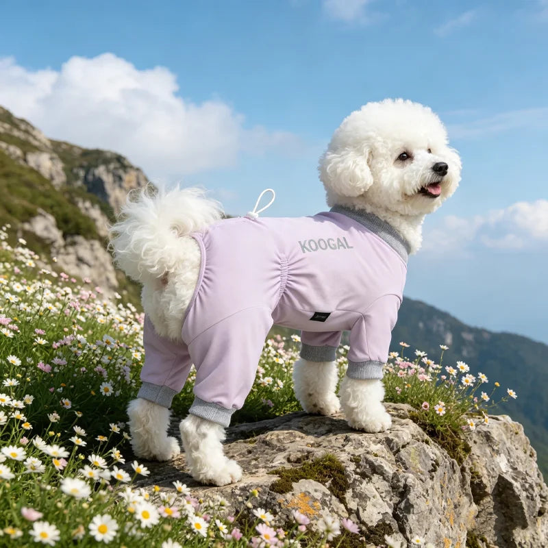 Lightweight Summer Dog Pyjamas | Comfortable Dog Onesie for All Sizes