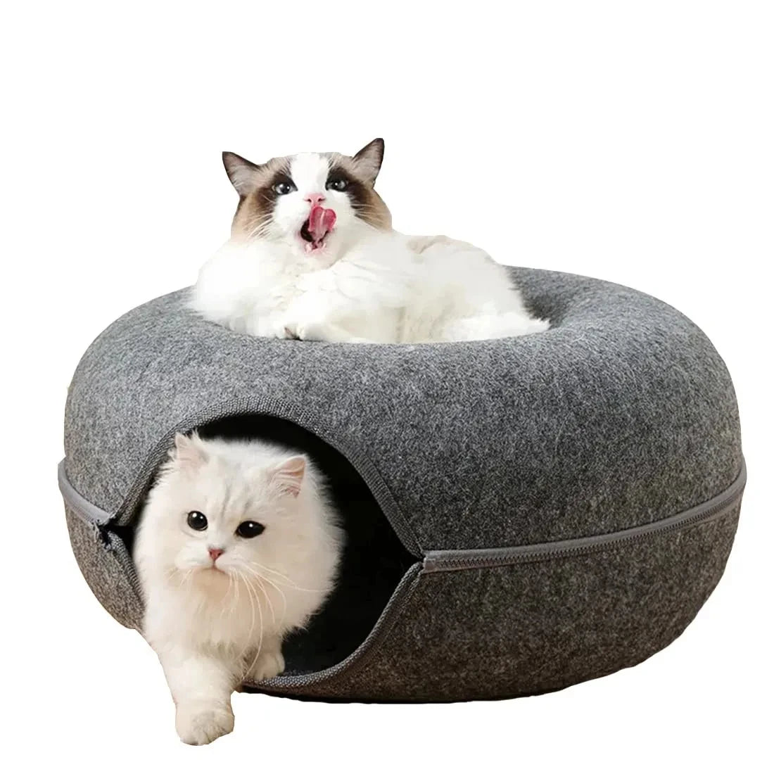 Interactive Round Cat Tunnel Bed | Cozy Felt Cat Toy for Kittens