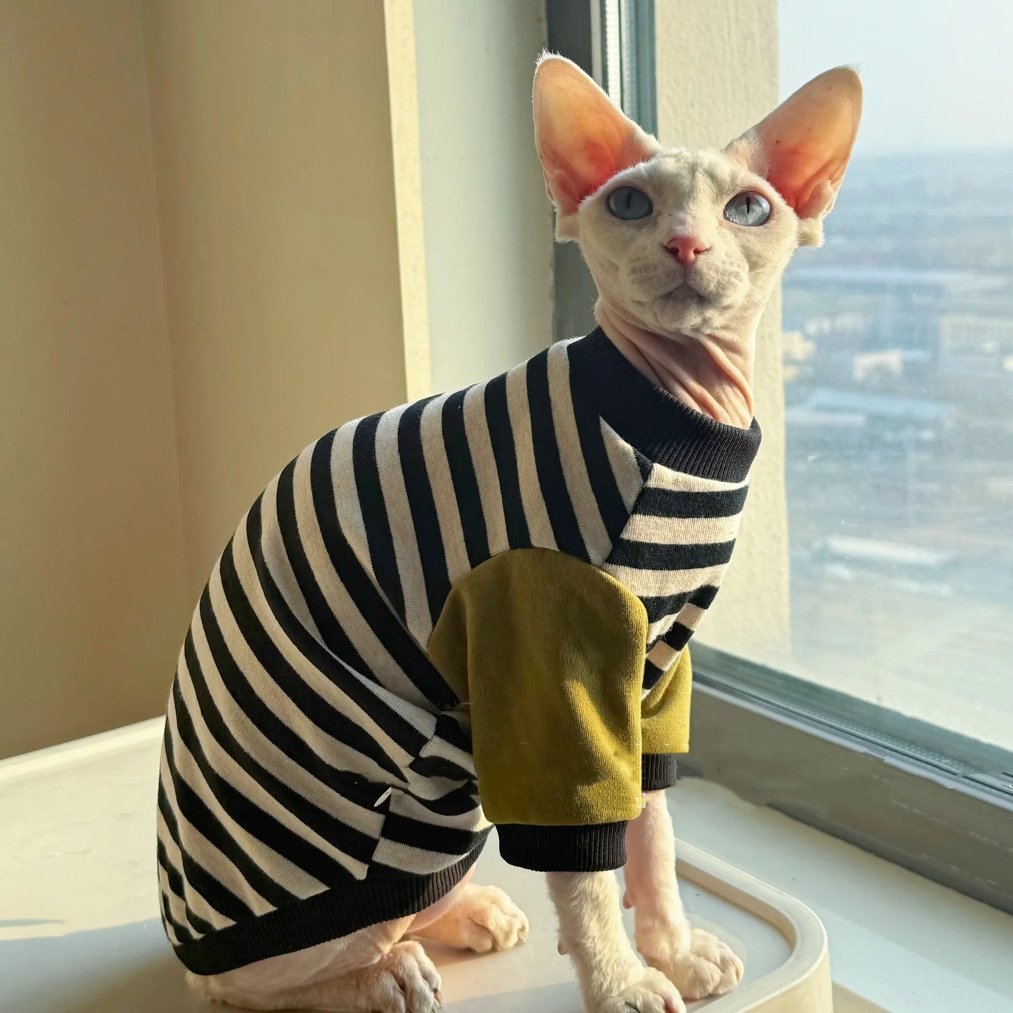 Stylish Black-White Striped T-Shirt for Hairless Cats | Soft Cotton Wear