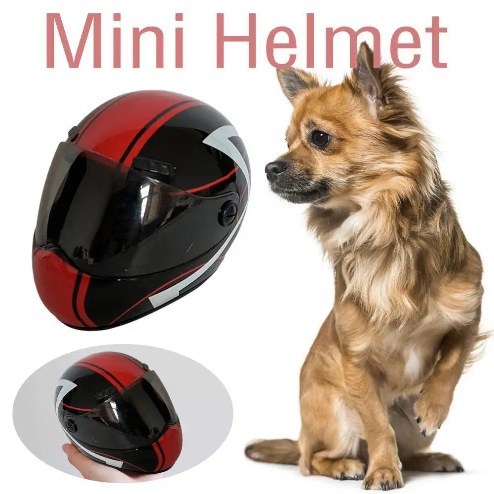 Small Pet Motorcycle Helmet | Protective Hard Hat for Dogs & Cats