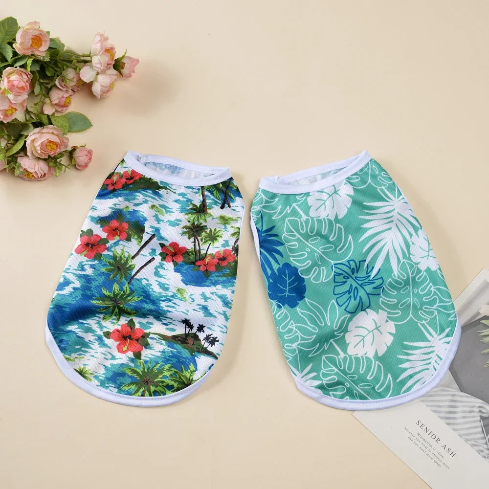 3PCS Pet Cat Vest Set Summer Breathable Mesh Sphynx Cats Clothes Shirt Lightweight Soft Puppy Kitten Outfits for Indoor Outdoor