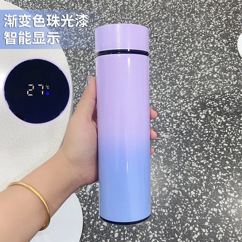 500ML Smart Insulated Water Bottle with Temperature Display