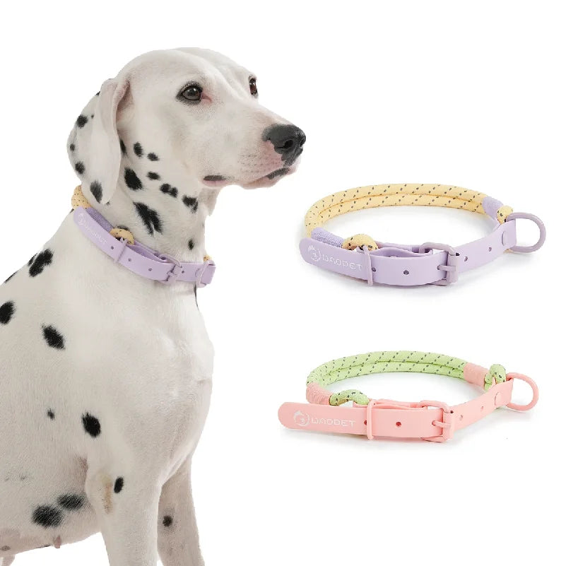 Cute Sugar Color Dog Collar and Leash Set for Small to Medium Dogs