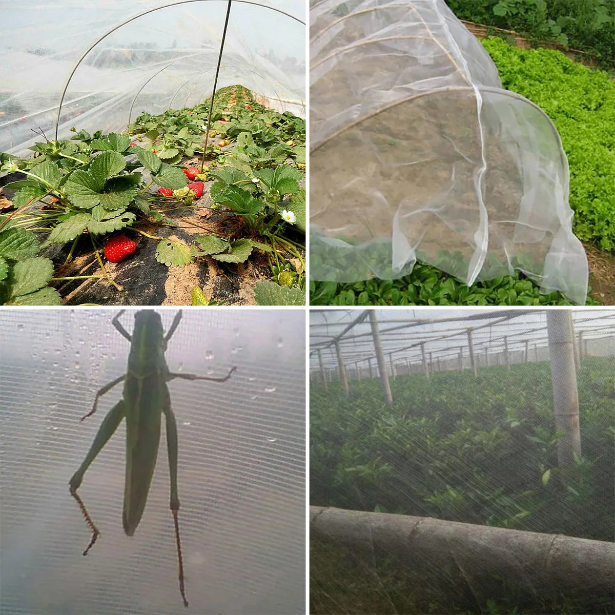 Garden Insect Protection Net | Vegetable & Fruit Care Cover