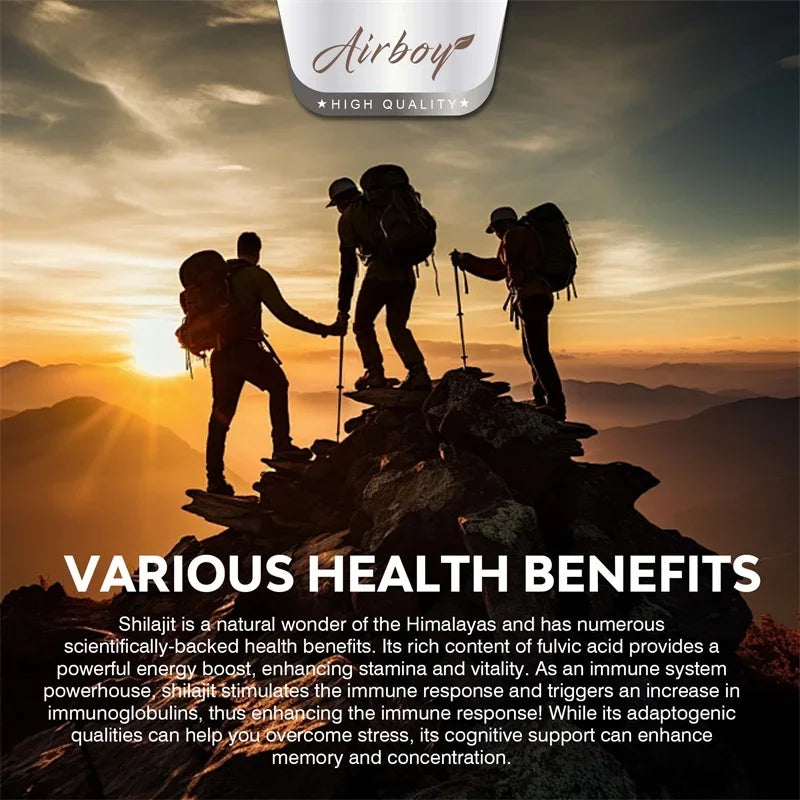 Shilajit Energy Boost Capsules | Enhance Performance & Vitality