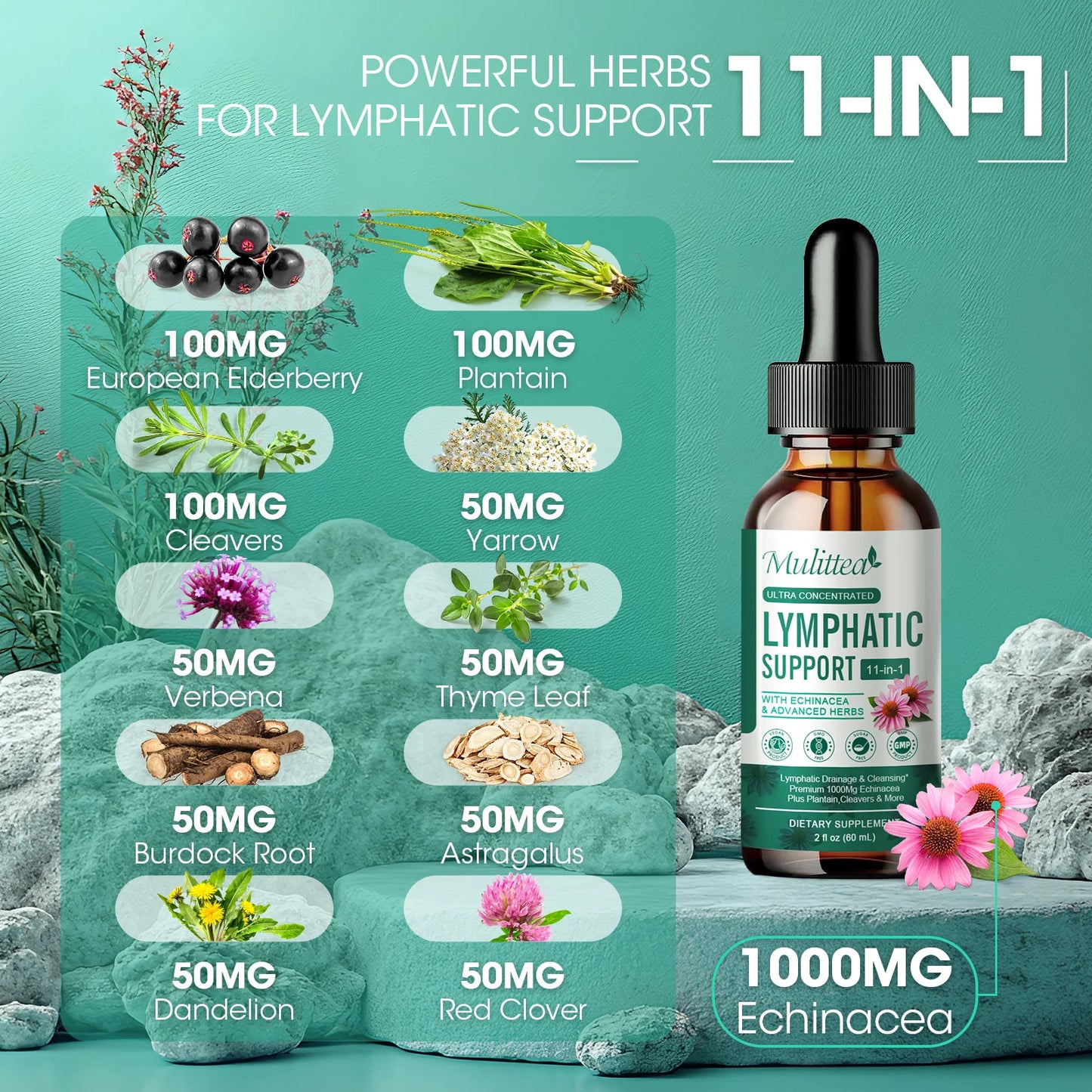 Natural 60ml Lymphatic Support Drops | Enhance Immunity & Circulation