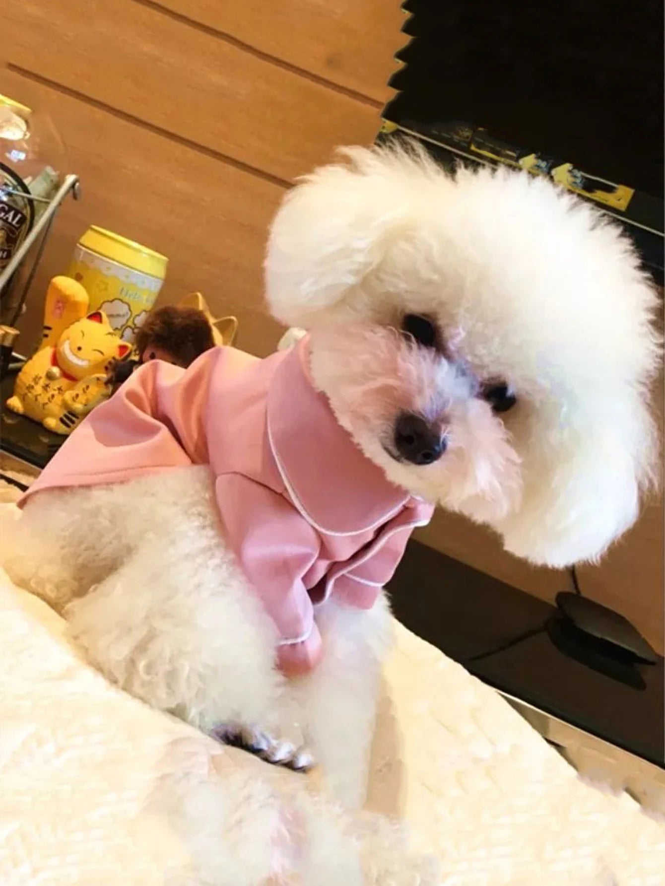 Luxurious Summer Pajama for Small Dogs | Comfortable Dog Clothes