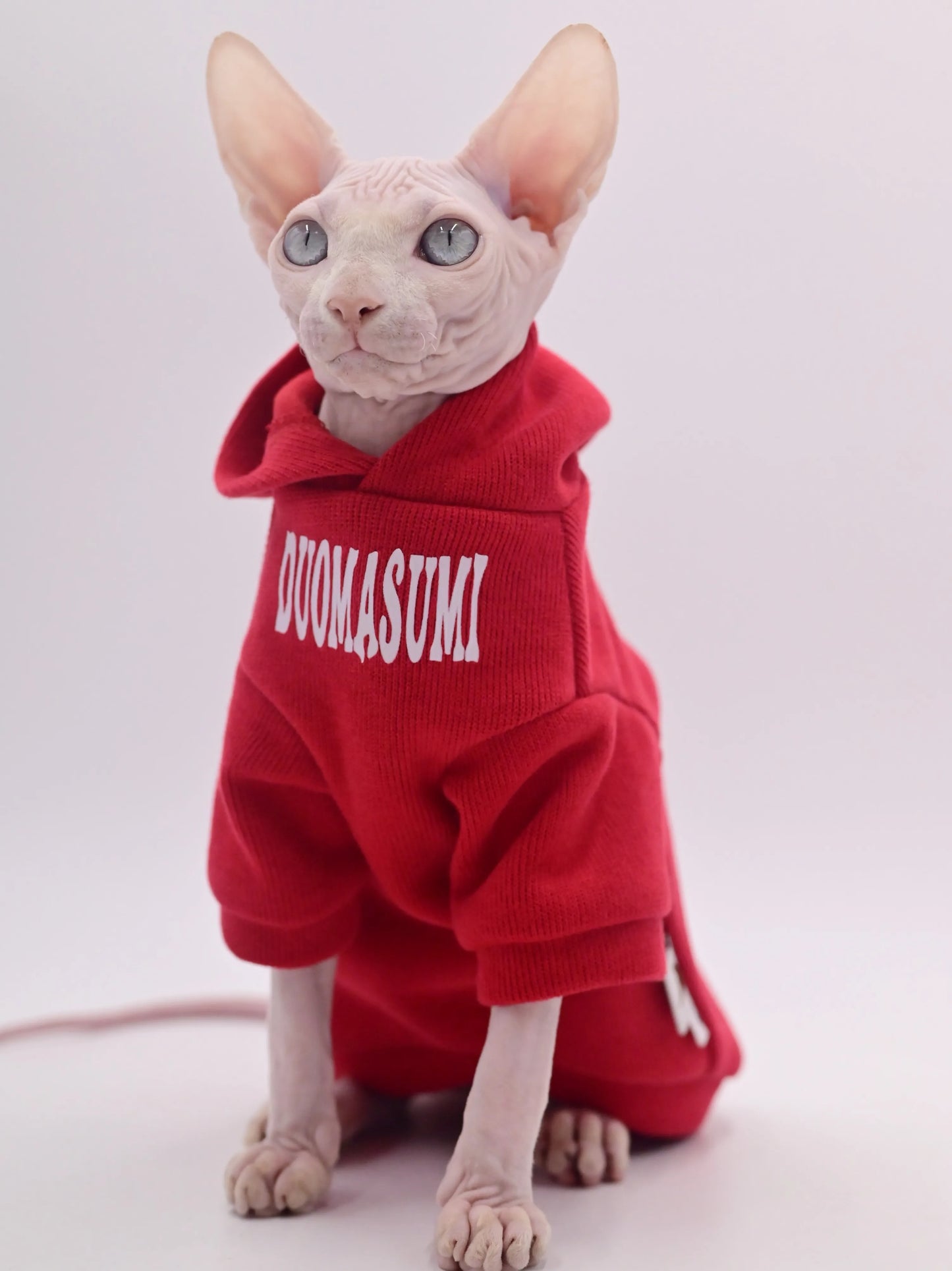 Ropa elegante para gatos sin pelo | Colección Primavera/Otoño