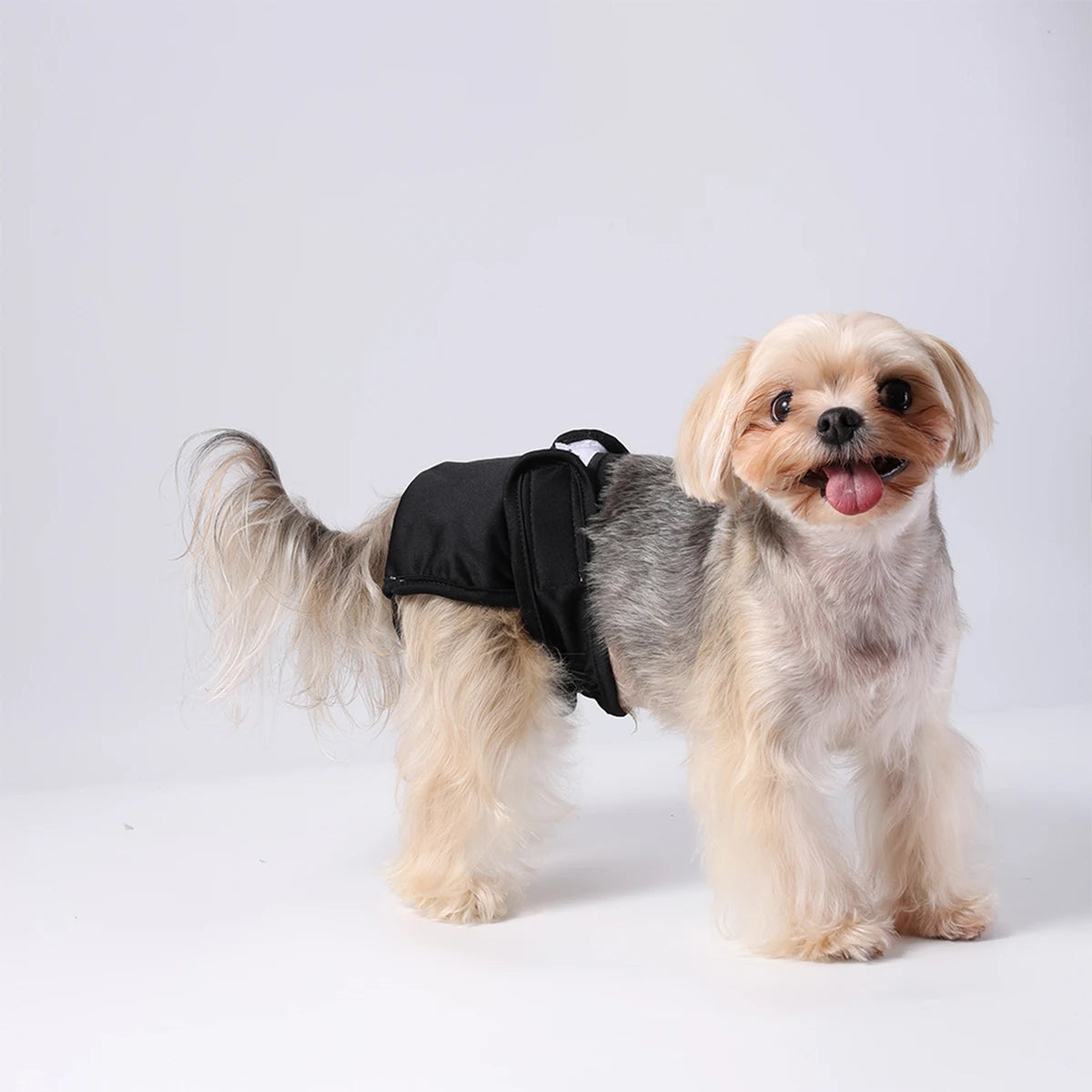 Washable Female Dog Diaper | Adjustable Leakproof Pet Pants
