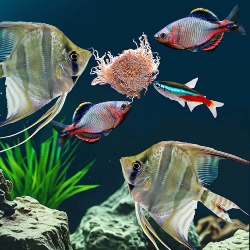 Freeze-Dried Blood Worms for Tropical Fish & Axolotls