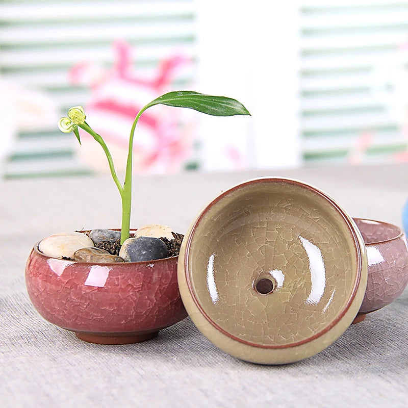 Cute Ice-Crack Glaze Flower Ceramic Succulent Planter