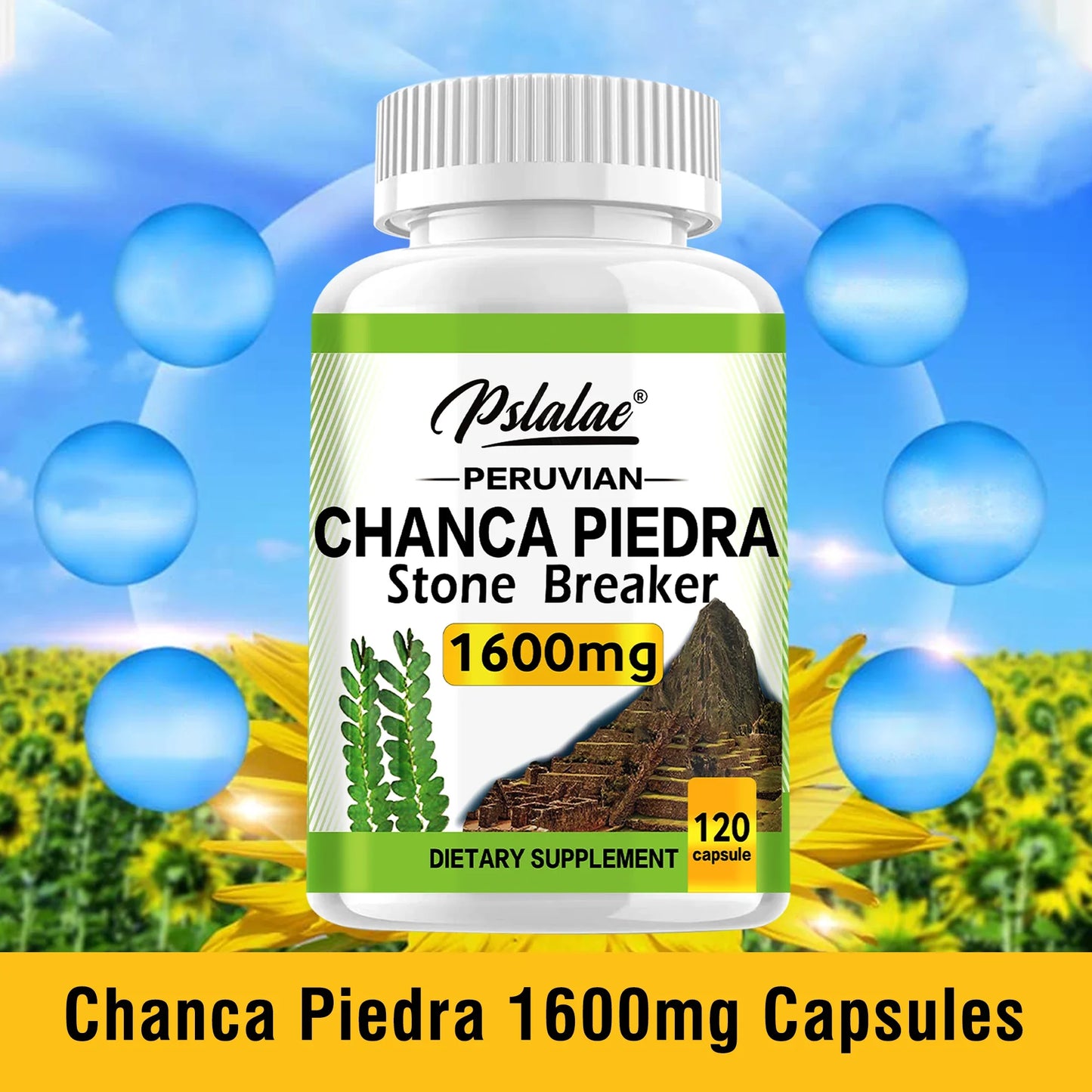 Chanca Piedra 1600mg Capsules | Supports Kidney Health & Detox