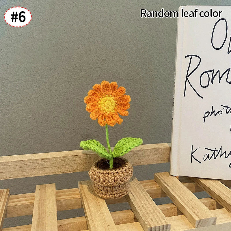 Beautiful Hand-Woven Crochet Flower Pots for Home Décor