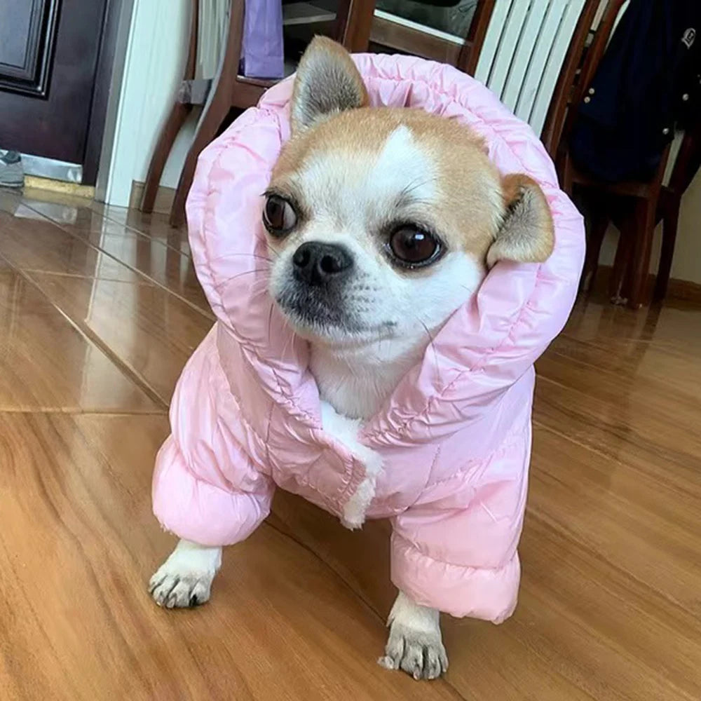 Mono impermeable de invierno para perros de razas pequeñas | Buzo cálido para mascotas