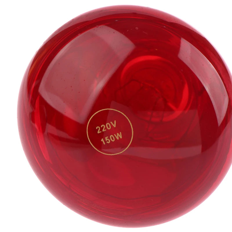 Infrared Physiotherapy Bulb for Pain Relief & Muscle Relaxation
