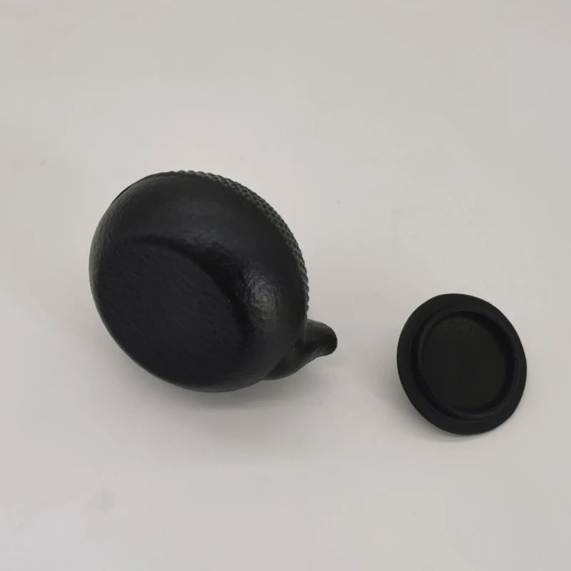 Mini Japanese Tetsubin Cast Iron Kettle | Elegant Teapot