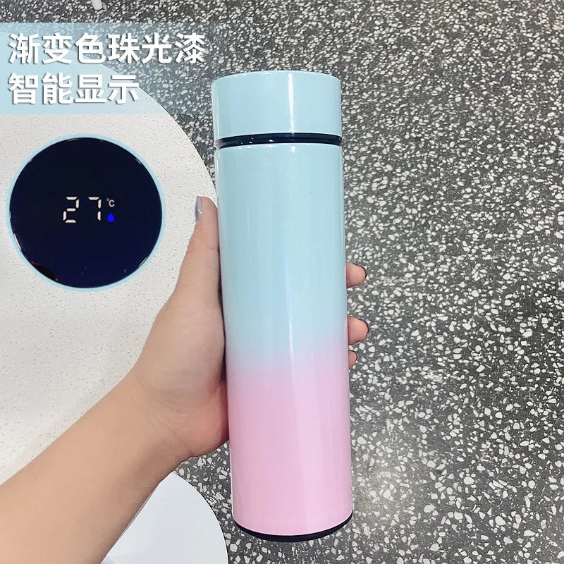 500ML Smart Insulated Water Bottle with Temperature Display