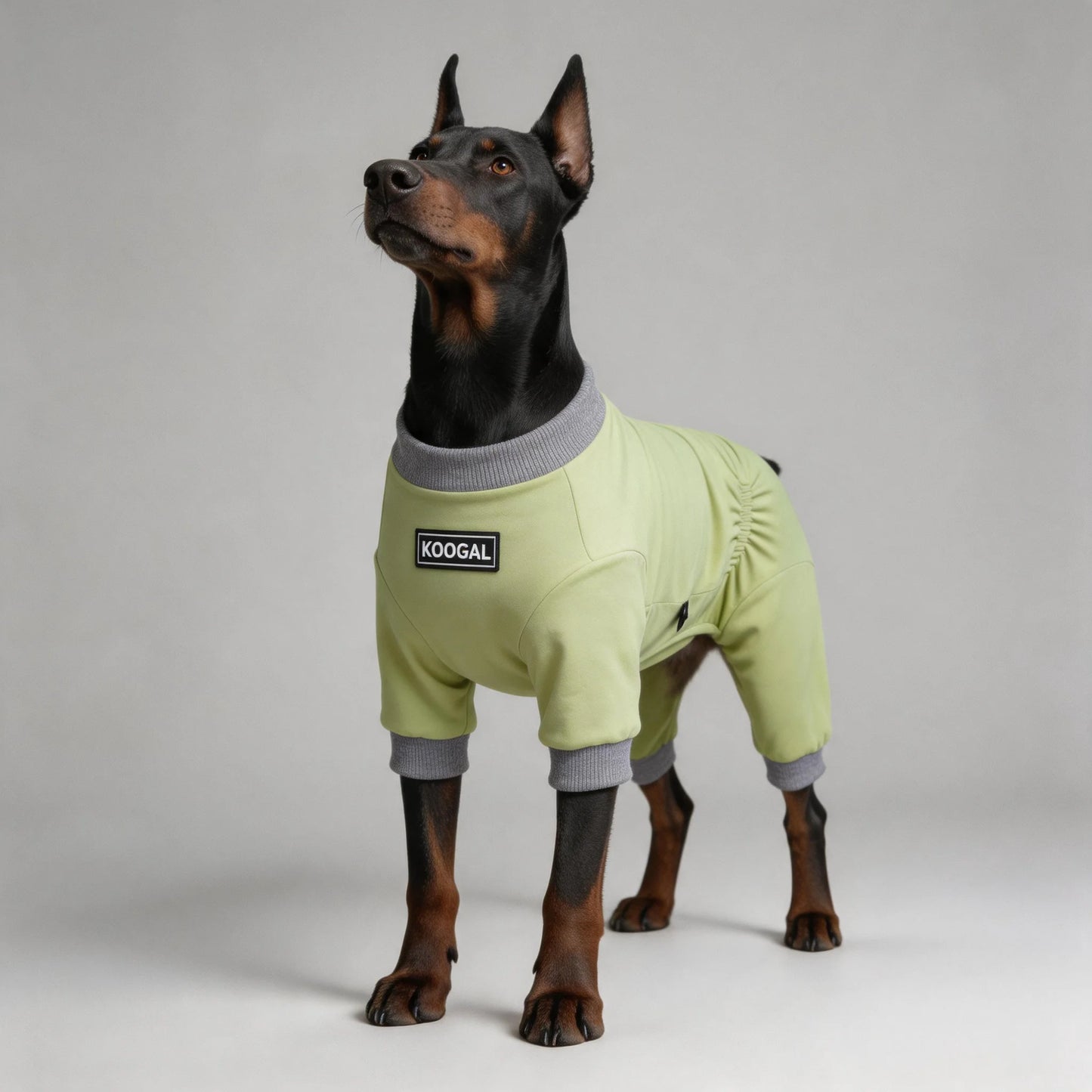 Lightweight Summer Dog Pyjamas | Comfortable Dog Onesie for All Sizes